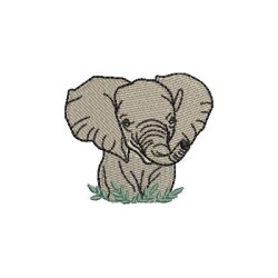 Matriz De Bordado Elefante Safari 2