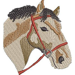 Embroidery Design Horse Bust