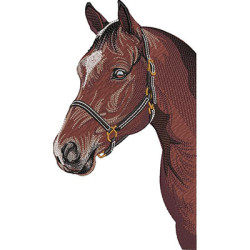 Embroidery Design Horse Big Bust