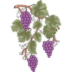 Embroidery Design Bunch Of Grapes On The Branch