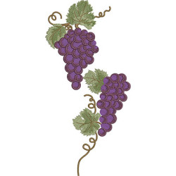 Embroidery Design Hubs Of Grapes
