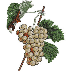 Embroidery Design Bunch Of Grapes 18 Cm