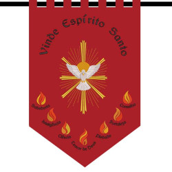 Diseño Para Bordado Conjunto Para Bandera Del Divino Espírito Santo