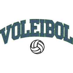 Embroidery Design False Chenille Volleyball 2