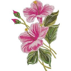 Embroidery Designs Hibiscus In 2 Sizes