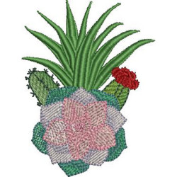 Diseño Para Bordado Cactus Y Suculentas 10 Cm