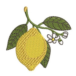Matriz De Bordado Limão Siciliano