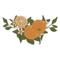 Embroidery Design Orange Branch