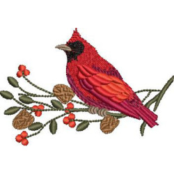 Embroidery Design Cardinal Bird On Christmas Branch