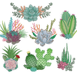 Diseño Para Bordado Paquete Suculentas Y Cactus