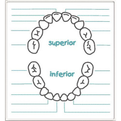 Embroidery Design Dentition Patch