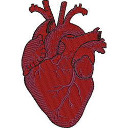 Matriz De Bordado Coração Cardiologista