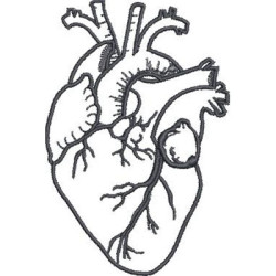 Embroidery Design Contoured Heart