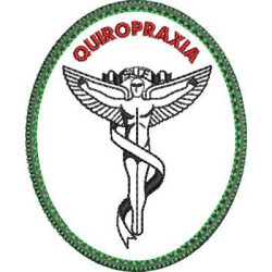 Embroidery Design Chiropractic Shield 2