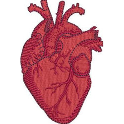 Matriz De Bordado Coração Cardiologista 3