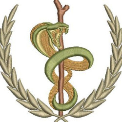 Embroidery Design Dentistry Medicine