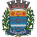 Município De Barueri Shield Of Cities