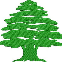 Embroidery Design Lebanon Pine Tree