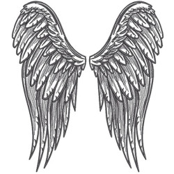 Embroidery Design Pair Of Angel Wings 2