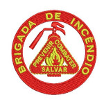 Brigades And Firefighters