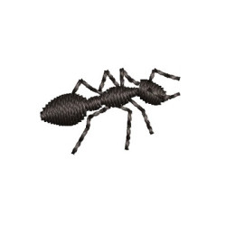 Embroidery Design Small Ant 1