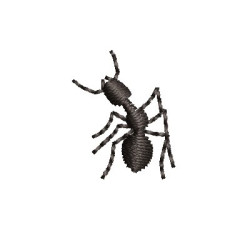 Embroidery Design Small Ant 2