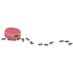 Matriz De Bordado Formigas Carregadeiras Macarons