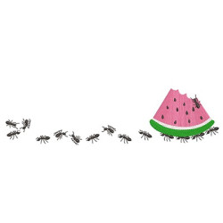 Embroidery Design Ants Loader Watermelon