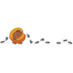 Matriz De Bordado Formigas Carregadeiras Pêssego