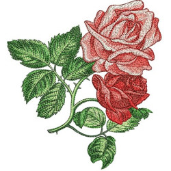 Diseño Para Bordado Rosas 17
