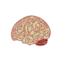 Embroidery Design Brain