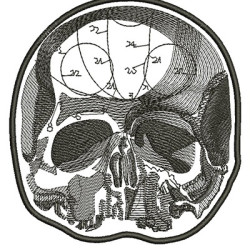 Embroidery Design Big Skull