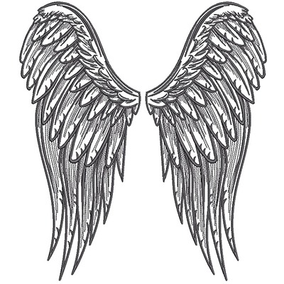 PAIR OF ANGEL WINGS 2